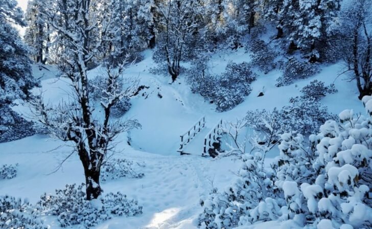 1493912586_Kedarkantha_-_Sanyam_-_Passing_a_beautiful_bridge_on_Day-Summit_day_2048_x_1152.jpg-728x448