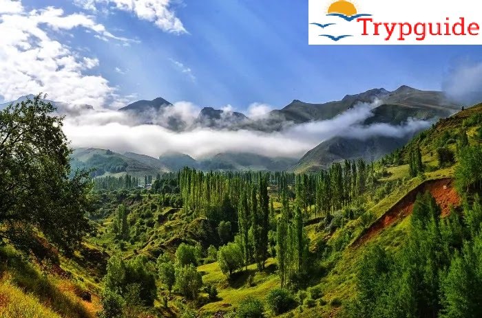 Places to Visit in Kasauli