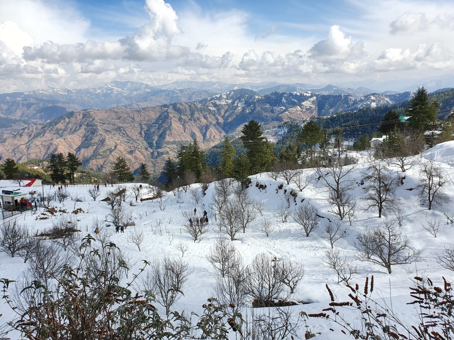 places to visit in kasauli in march